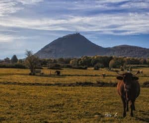 Altamica le Puy-de-dôme