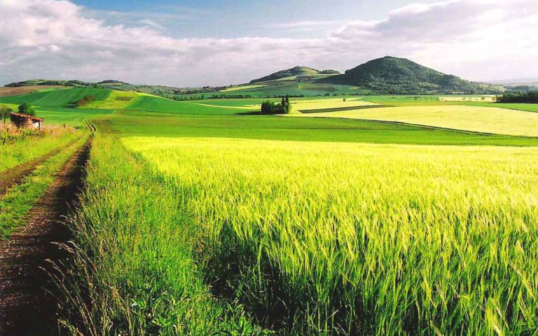 la Maison d'hôtes Altamica est membre de la Toscane d'Auvergne