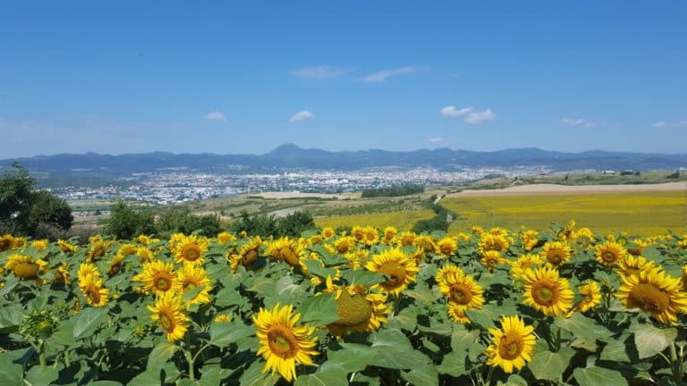 altamica hébergement à Cournon d'Auvergne plateau du Trap avec vue sur Clermont-ferrand et le Puy-de-dôme